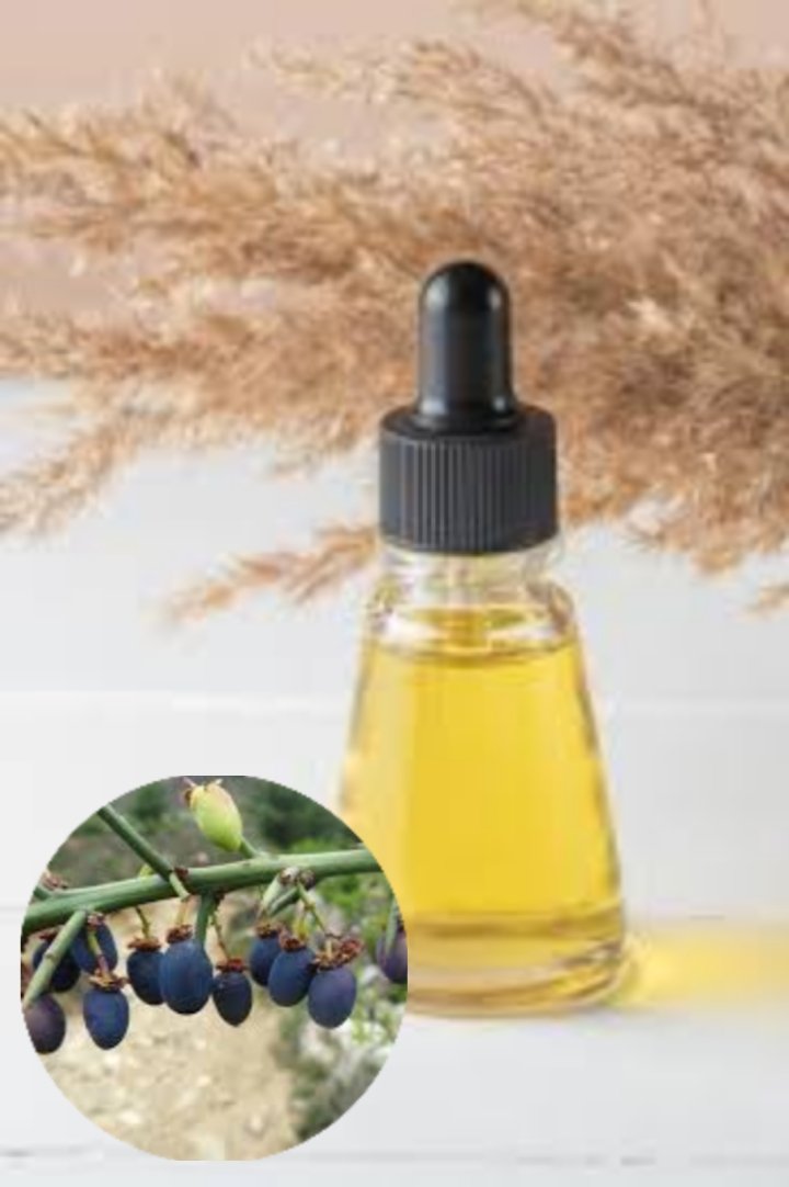https://myorganicherb.com/admin/upload/images/0636-2025-07-21.jpg