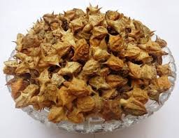 Thulo Gokhru (Large Caltrops)