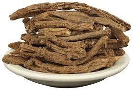Akarkara Root