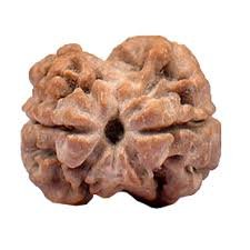 https://myorganicherb.com/admin/upload/images/4205-2025-07-19.jpg