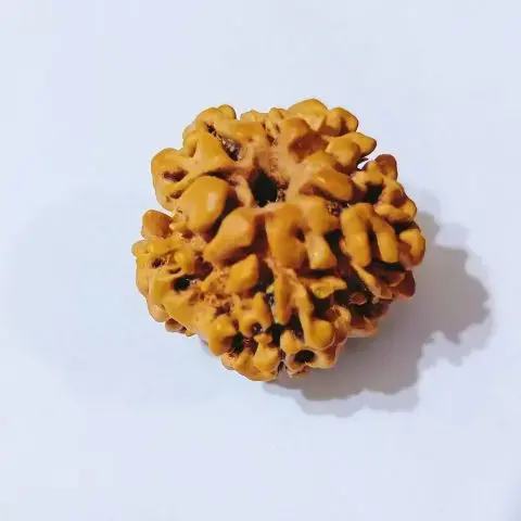 https://myorganicherb.com/admin/upload/images/4962-2025-07-18.webp