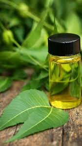 https://myorganicherb.com/admin/upload/images/5315-2025-07-19.jpg