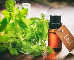 https://myorganicherb.com/admin/upload/images/5576-2025-07-20.jpg