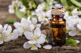 https://myorganicherb.com/admin/upload/images/6333-2025-08-15.jpg