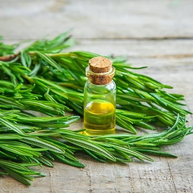 https://myorganicherb.com/admin/upload/images/6633-2025-08-15.jpg