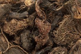 Jatamansi(nardostachys)