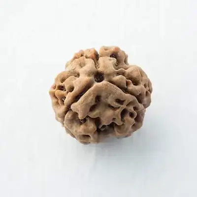 https://myorganicherb.com/admin/upload/images/7787-2025-07-19.webp