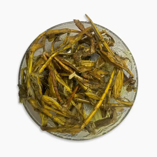 Jiwanti(bandicoot berry)