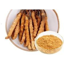 https://myorganicherb.com/admin/upload/images/9391-2025-08-23.jpg