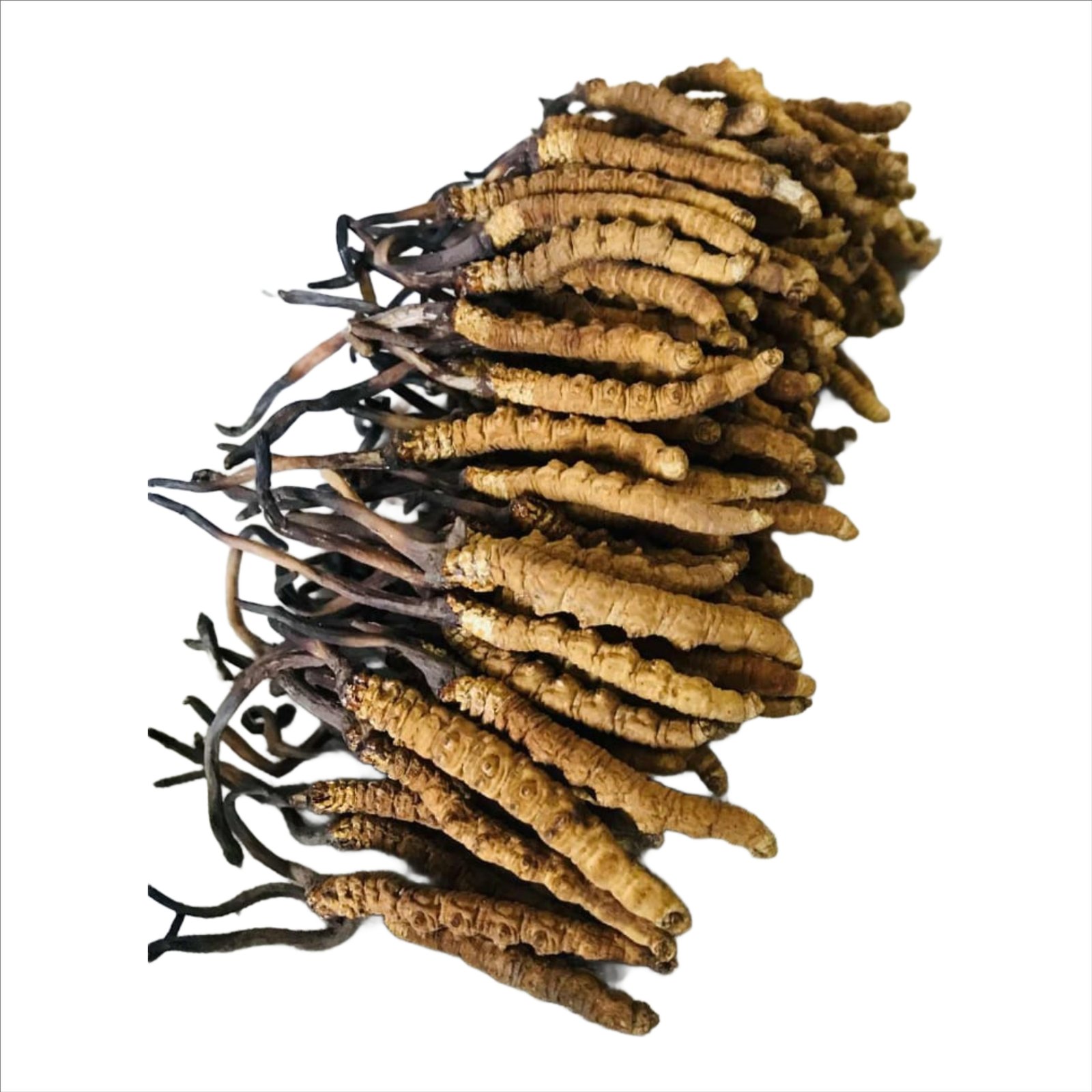 https://myorganicherb.com/admin/upload/images/9891-2025-08-11.JPEG