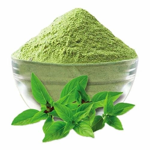 Tulsi (holy basil)