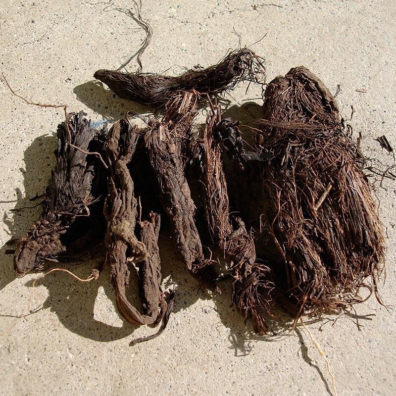 Jatamansi(nardostachys)
