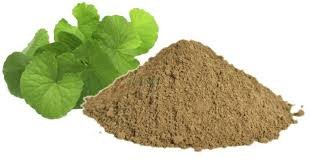 Brahmi