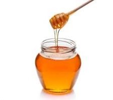 Mustela honey