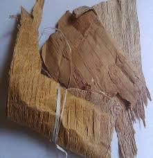 Bhojpatra